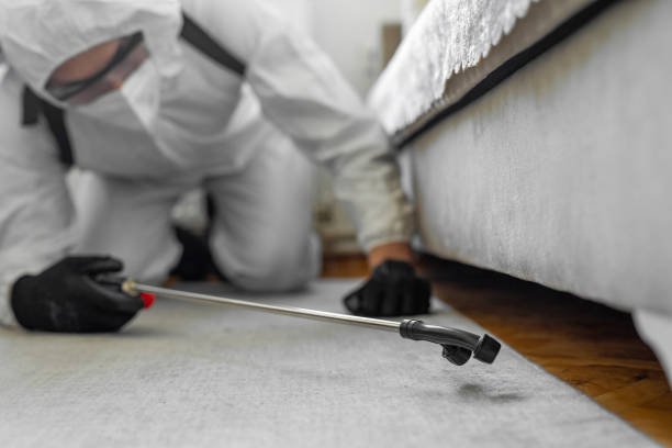 Professional Termite Control technician working in Winchester, TN