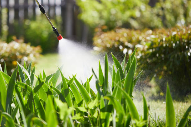 24/7 Emergency Termite Control experts in Winchester, TN