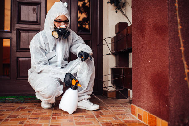Reliable Termite Control contractor in Winchester, TN by Nex Pest Control