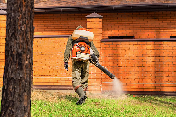 Top rated local Termite Control specialists in Winchester, TN